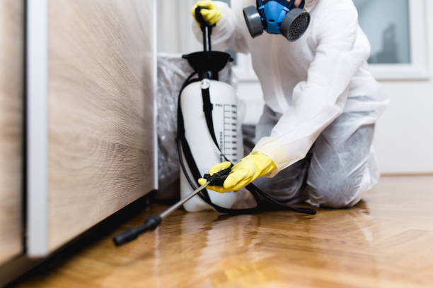 Best Wasp Removal Services  in Roan Mountain, TN