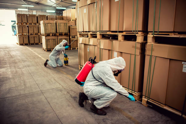 Best Bed Bug Extermination  in Roan Mountain, TN