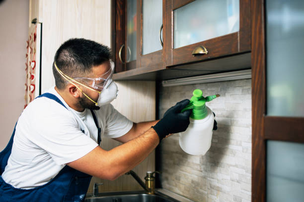Best Affordable Pest Control Services  in Roan Mountain, TN