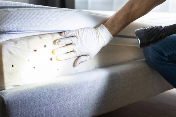 Best Exterminator Services  in Roan Mountain, TN