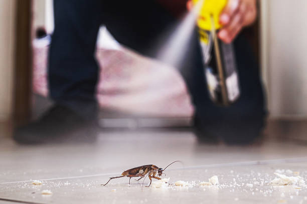 Best Best Pest Control Companies  in Roan Mountain, TN