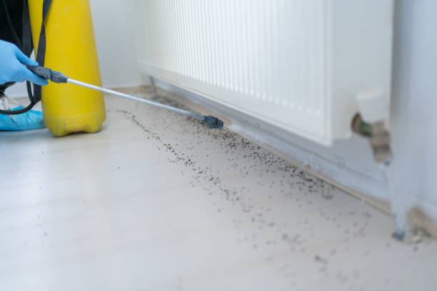 Best Best Pest Control Companies  in Roan Mountain, TN