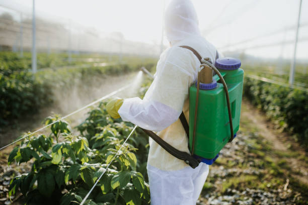 Best Best Pest Control Companies  in Roan Mountain, TN